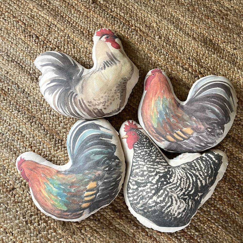 Heeeeey chicken lovers!🐓